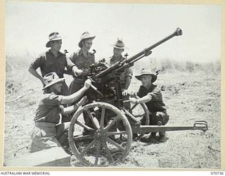 DALLMAN RIVER, NEW GUINEA, 1944-02-23. MEMBERS OF THE 2/14TH FIELD REGIMENT WITH A CAPTURED JAPANESE 20MM GUN. IDENTIFIED PERSONNEL ARE: SX9469 WARRANT OFFICER II, J.C. WHITE (1); VX42952 GUNNER ..