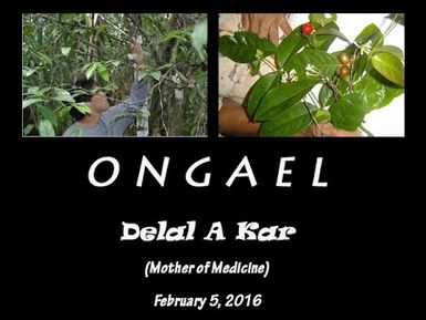 Ongael with Dr. Kitalong & Dr. Graz on UAK (2.05.2016)
