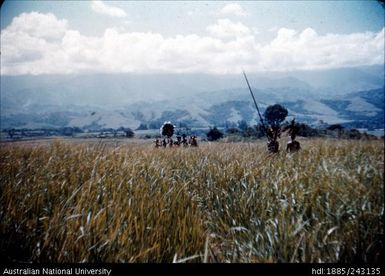 People in traditional dress in the grass