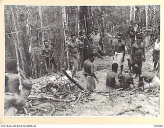 MOUNT SHIBURANGU, WEWAK, NEW GUINEA, 1945-07-12. BATTALION HEADQUARTERS AND FOUR COMPANIES IN POSITIONS NEAR THE SUMMIT OF MOUNT SHIBURANGU (1648 FEET) MADE THE WATER SUPPLY A PROBLEM. IT WAS ..