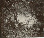 Girls of Rapa island preparing the 'popoï' (taro), in the middle of the river