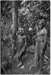 Pig festival, stake-planting, Tuguma: decorated men plant cordyline and stakes, establishing enemy boundary