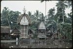 Chief's house (r) and full yam house (l) with painted facades, Ialumgwa village, Kiriwina