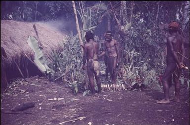 Initiation of the boys (1) : singsing ground of the Kukiga Clan, Wahgi Valley, Papua New Guinea, 1955 / Terence and Margaret Spencer