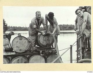 MADANG, NEW GUINEA, 1944-04-30. RAN SAILORS PIPING VALUABLE HIGH OCTANE AVIATION SPIRIT ABANDONED BY THE JAPANESE AT MADANG AIRFIELD INTO HMA MOTOR LAUNCH 424. THE PETROL HAS BEEN FOUND SUITABLE ..