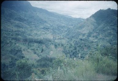 View of the Omung River valley : Papua New Guinea, 1954 / Terence and Margaret Spencer