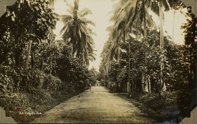 Vailima Road, leading to the Governor's residence