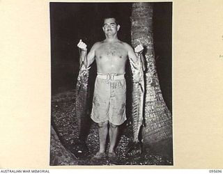 JACQUINOT BAY, NEW BRITAIN. 1945-09-01. LIEUTENANT COLONEL A.P. CHAPMAN, ASSISTANT ADJUTANT AND QUARTERMASTER GENERAL, HEADQUARTERS 11 DIVISION WITH FISH LANDED FROM THE BAY