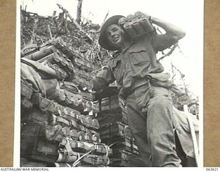 SHAGGY RIDGE, NEW GUINEA. 1944-01-20. QX6514 WARRANT OFFICER CLASS 2 T. A. HYATT, COMPANY SERGEANT MAJOR OF A COMPANY, 2/9TH INFANTRY BATTALION, PICKING UP A LOAD OF MORTAR BOMBS FROM A DUMP ON THE ..