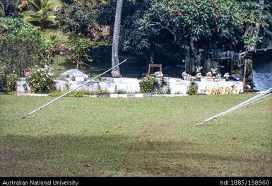 Cook Islands - Yard and garden