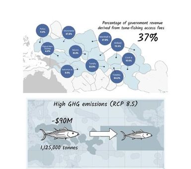 Visualisation of Climate Change Impacts to Pacific Fisheries short videos without subtitles