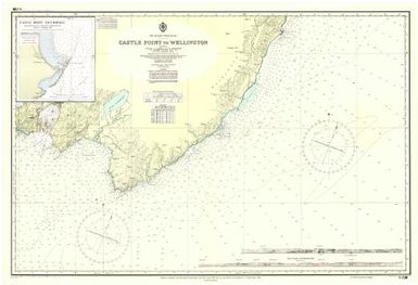 [New Zealand hydrographic charts]: New Zealand - North Island. Castle Point to Wellington. (Sheet 58)