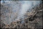 Gardening: slash-and-burn method being used to prepare Yembi's garden