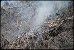 Gardening: slash-and-burn method being used to prepare Yembi's garden