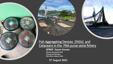 Fish aggregating devices (FADs) and cetaceans in the PNA purse seine fishery