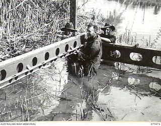 AITAPE AREA, NEW GUINEA. 1944-12-04. PERSONNEL OF THE PIONEER PLATOON, 2/11TH INFANTRY BATTALION ASSISTING MEMBERS OF THE ROYAL AUSTRALIAN ENGINEERS TO BUILD BRIDGE NO. 22 ON THE AITAPE-DOGRETO ..