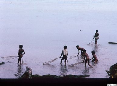 ["fotografi, photograph"]