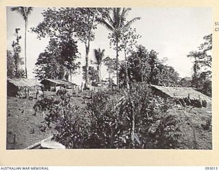 MOROKAIMORO, BOUGAINVILLE, 1945-06-05. NATIVES UNDER ANGAU SUPERVISION CLEARING AREA FOR THE CONSTRUCTION OF HUTS. THE NATIVES, EVACUATED FROM JAPANESE HELD TERRITORY, WILL RETURN TO THEIR ..