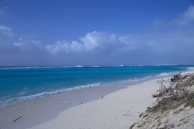 Midway Atoll beach