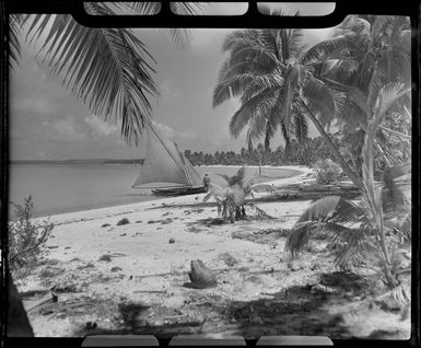 Akaiami beach, Aitutaki, Cook Islands, showing sail boat and native trees