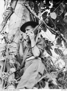 GUSIKA, NEW GUINEA, 1944-03-16. VX35038 CORPORAL H.G. NEVILLE, SIGNALS SECTION, 4TH INFANTRY BRIGADE, OPERATING A SCR 536 (SET COMPLETE RADIO)