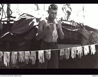 DUMPU, NEW GUINEA. 1943-10-15. QX42621 PRIVATE S. V. DOW OF THE 2/6TH AUSTRALIAN FIELD AMBULANCE WITH "E" SURGICAL TEAM TESTING RUBBER GLOVES FOR HOLES BEFORE HANGING THEM ON A LINE AFTER AN ..