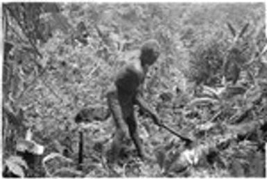 Man working in garden