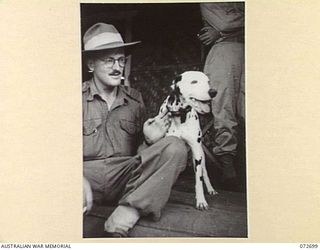 HIGITURA, NEW GUINEA. 1944-04-27. VX88782 SERGEANT R M KEAM, OFFICIAL PHOTOGRAPHER, MILITARY HISTORY SECTION, ATTACHED TO NEW GUINEA FORCE, WITH A CAMP MASCOT. THE DALMATIAN, WHO JOINED AN INFANTRY ..