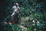 Borrow Pit Test to water table, Bikini, Marshall Islands