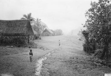 village, palm, house, tree, man, road, dog, photography, ph