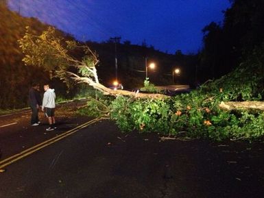 Tropical Storm Halong occurred in Guam from July 28 - 31, 2014. As a result of high winds a large tree branch fell in the middle of a road. Photo by Samal Ronveaux FEMA