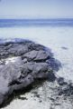 French Polynesia, volcanic rock on shoreline of Bora Bora