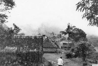 house, palm trees, village, man, assistant, photography, ph