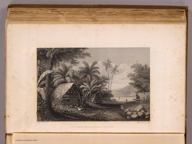 Tombs at Muthuata I., Feejee. Drawn by A.T. Agate. Engraved by J. Smillie. (Philadelphia: Lea & Blanchard. 1845)