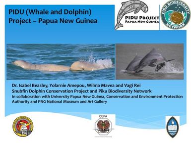 PIDU (Whale and Dolphin) Project - Papua New Guinea