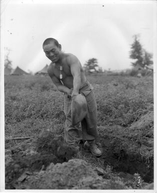 Nisei soldier digging a trench
