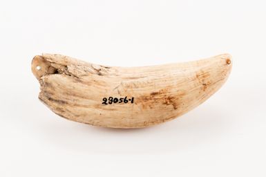 Tabua
