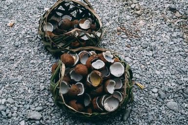 Two coconut palm leaf baskets filled with half shells of coconuts, Fakaofo, Tokelau