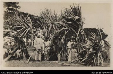 Lautoka Indian Agricultural Show