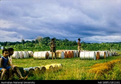 New Guinea - Nomad Airstrip, Western District