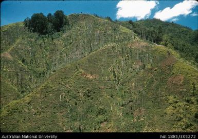 Marifulingu, Watabung