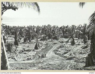 JACQUINOT BAY, NEW BRITAIN. 1944-11-18. MEMBERS OF THE 2/1ST GUARD REGIMENT, ENGAGED IN BRIDGE BUILDING IN THE WUNUNG PLANTATION