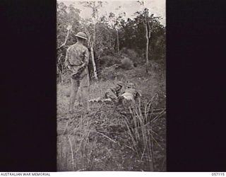 SOGERI VALLEY, NEW GUINEA. 1943-09-19. TEST OF THE PROJECTOR INFANTRY TANK ATTACK MARK 1 AT A RANGE OF 75 YARDS. NOTE BOMB EXPLODING ON STRIKING PILLBOX