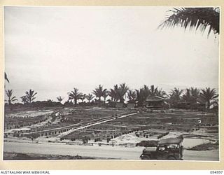 JACQUINOT BAY. 1945-08-17. A GENERAL VIEW OF THE SPECIAL ENTERTAINMENT THEATRE AT HEADQUARTERS 11 DIVISION, BUILT FOR THE GRACIE FIELDS CONCERT JUST AS THE FIRST OF THE CROWD BEGINS TO ARRIVE