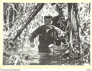 BOUGAINVILLE ISLAND. 1945-01-21. VX88782 SERGEANT R.N. KEAM, NO.3 MILITARY HISTORY SECTION FIELD TEAM ATTACHED HEADQUARTERS, 3RD DIVISION (1) MOVING THROUGH A SWAMP DURING A CONTACT PATROL WITH ..