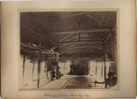 "Fale" c1886