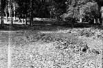 Stone mounds on north west slope inland, Alesia.