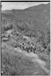 Pig festival, singsing: decorated men on trail from Cook's house