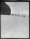 Several people on the beach