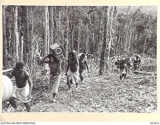 WEWAK AREA, NEW GUINEA. 1945-06-27. NATIVE CARRIERS BRINGING UP FOOD TO B COMPANY, 2/8 INFANTRY BATTALION FORWARD POSITIONS ON HILL 2